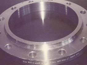 Forged Stainless Steel Flange