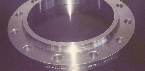 Forged Stainless Steel Flanges